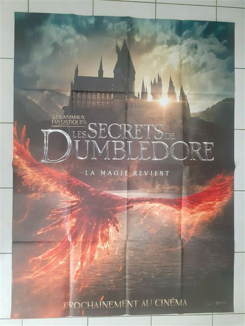 Affiche de Cinéma Originale - Les Animaux Fantastiques - 2022 - Les Secrets de Dumbledore - 116x158cm État correct - N/A reconditionné disponible sur Fnac