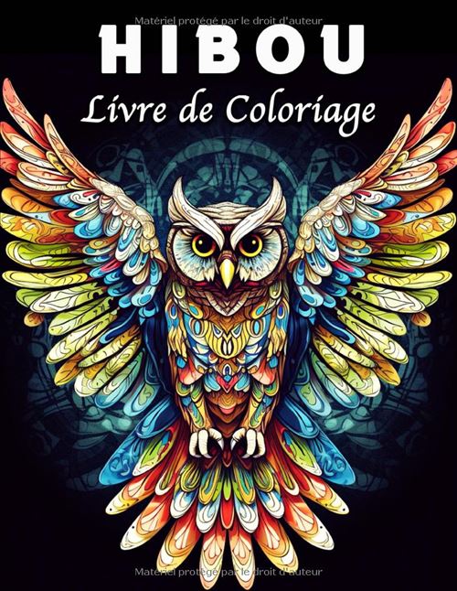 Acheter Hibou Livre de Coloriage Mandala – 40 illustrations de hiboux anti-stress par Lea Schöning État correct - 22,99 € Hibou Livre de Coloriage Mandala – 40 illustrations de hiboux anti-stress par Lea Schöning État correct - N/A reconditionné disponible sur Fnac