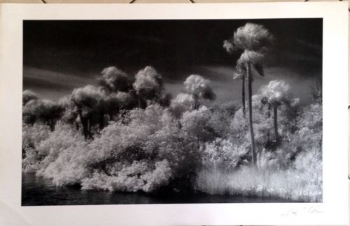 Richard Elkins - 60x91 cm - AFFICHE / POSTER État correct - N/A reconditionné disponible sur Fnac