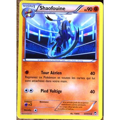 Acheter carte Pokémon 57/111 Shaofouine 90 PV XY03 XY Poings Furieux NEUF FR État correct - 16,00 € carte Pokémon 57/111 Shaofouine 90 PV XY03 XY Poings Furieux NEUF FR État correct - Pokémon reconditionné disponible sur Fnac
