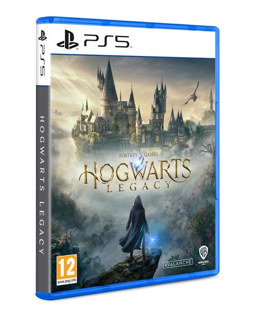 Warner Bros Hogwarts Legacy Standard PlayStation 5 État correct -  reconditionné disponible sur Fnac