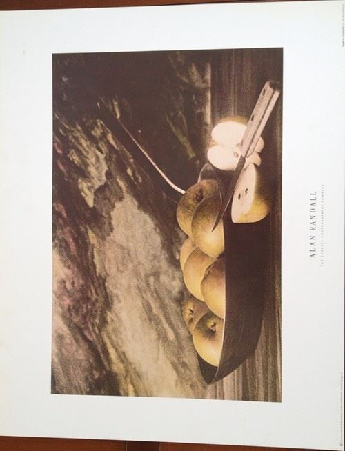 Alan Randall - 41x51 cm - AFFICHE / POSTER État correct - N/A reconditionné disponible sur Fnac