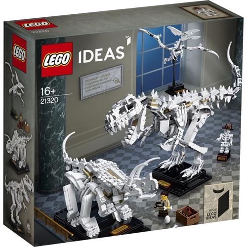 LEGO Ideas 21320 - Les fossiles de dinosaures État correct - N/A reconditionné disponible sur Fnac