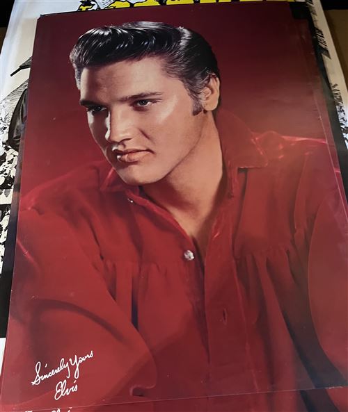 Acheter Affiche de concert originale - Elvis Presley - RCA PROMO - 39x58cm État correct - 39,99 € Affiche de concert originale - Elvis Presley - RCA PROMO - 39x58cm État correct - N/A reconditionné disponible sur Fnac