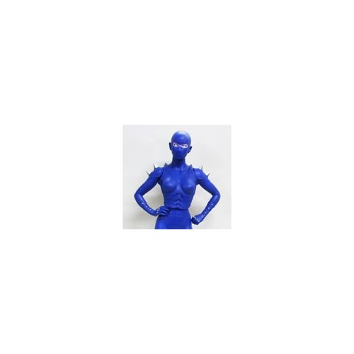 Acheter Cobra - Figurine Cobra Lady Armanoid Version mate État correct - 253,90 € Cobra - Figurine Cobra Lady Armanoid Version mate État correct - N/A reconditionné disponible sur Fnac