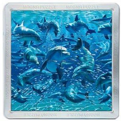 Puzzle Magnetique 3d - 64 Pieces - 21cm - Dauphins État correct - Gigamic reconditionné disponible sur Fnac