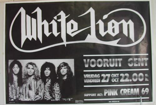 White Lion - 71x102 cm - AFFICHE / POSTER État correct - N/A reconditionné disponible sur Fnac