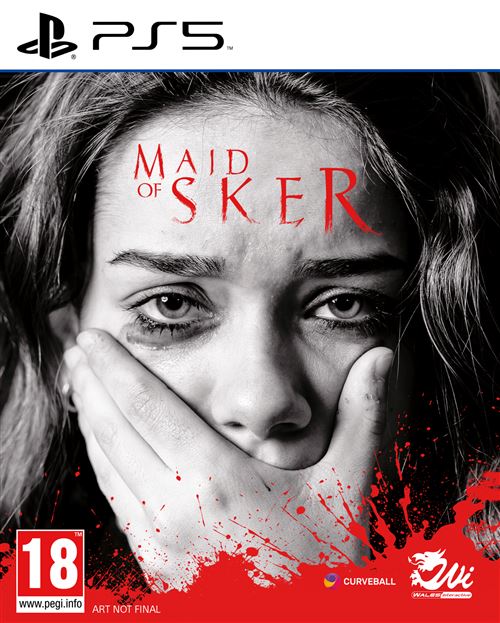 Maid of Sker PS5 État correct - Microids Distribution reconditionné disponible sur Fnac
