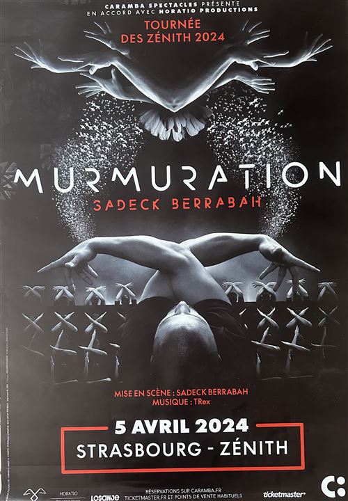 Acheter Affiche - Sadeck Berrabah - Murmuration - 80x120cm État correct - 13,99 € Affiche - Sadeck Berrabah - Murmuration - 80x120cm État correct - N/A reconditionné disponible sur Fnac