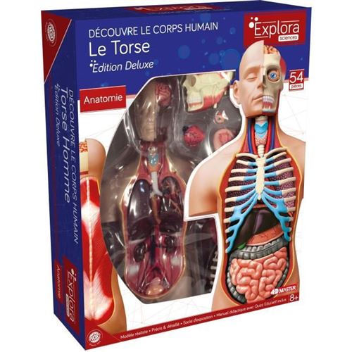 MGM - Explora - Anatomie torse humain - Experience anatomie État correct - N/A reconditionné disponible sur Fnac