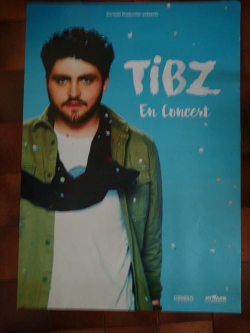 Acheter TIBZ - 87x121cm - AFFICHE / POSTER envoi roulé État correct - 39,99 € TIBZ - 87x121cm - AFFICHE / POSTER envoi roulé État correct - N/A reconditionné disponible sur Fnac