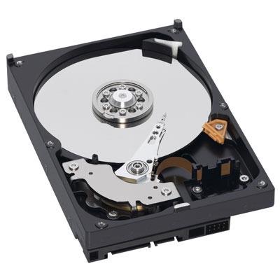 Acheter Disque Dur 250Go - Western Digital Caviar Blue WD2500AAJS - 3.5' - SATA II 3GB/S - 7200 RPM État correct - 19,00 € Disque Dur 250Go - Western Digital Caviar Blue WD2500AAJS - 3.5' - SATA II 3GB/S - 7200 RPM État correct - Western Digital reconditionné disponible sur Fnac