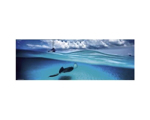Puzzle 1000 Pièces : Alexander von Humboldt : Stingray, Heye État correct - N/A reconditionné disponible sur Fnac