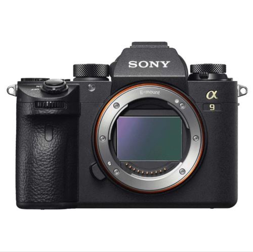 Appareil photo hybride Sony Alpha A9 II boitier nu État correct - Sony reconditionné disponible sur Fnac