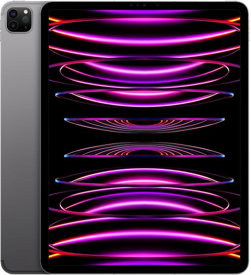 Acheter Apple iPad Pro 5 12,9"" Puce Apple M1 256 Go Gris sidéral Wifi Reconditionné Grade A Lagoona État correct - 878,99 € Apple iPad Pro 5 12,9"" Puce Apple M1 256 Go Gris sidéral Wifi Reconditionné Grade A Lagoona État correct - Apple reconditionné disponible sur Fnac