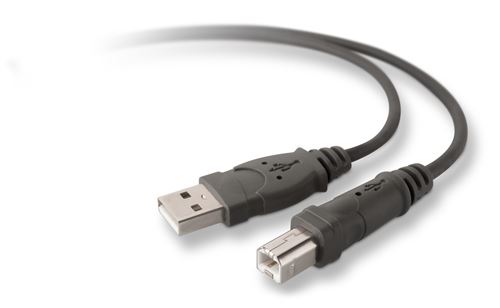 Câble USB 2.0 Belkin F3U133R3M Série Pro 3 m Gris État correct -  reconditionné disponible sur Fnac