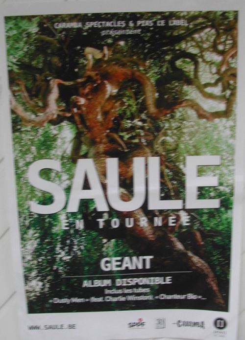 Acheter Saule - 40x60 cm - AFFICHE / POSTER État correct - 14,99 € Saule - 40x60 cm - AFFICHE / POSTER État correct - N/A reconditionné disponible sur Fnac