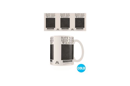 HARRY POTTER-MUG HEAT CHANGE 300 ML-WANTED SIRIUS BLACK État correct - N/A reconditionné disponible sur Fnac