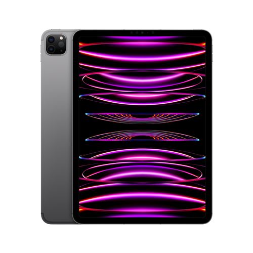 Apple iPad Pro 11"" Puce Apple M2 128 Go Gris Sidéral Wifi Cellular Fin 2022