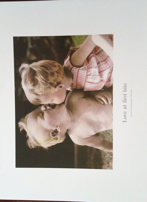 Acheter Love At First Bite - 45x60 cm - AFFICHE / POSTER État correct - 16,99 € Love At First Bite - 45x60 cm - AFFICHE / POSTER État correct - N/A reconditionné disponible sur Fnac