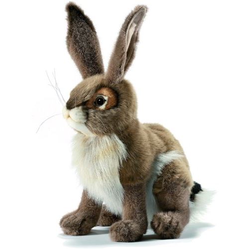 Hansa - Lapin à queue noire Grand État correct - Hansa reconditionné disponible sur Fnac
