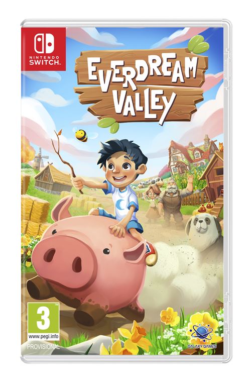 Everdream Valley Nintendo Switch État correct - Just for Games reconditionné disponible sur Fnac