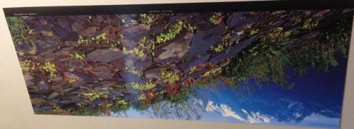 Acheter Patrice LABARBE - 26x70 cm - AFFICHE / POSTER État correct - 16,99 € Patrice LABARBE - 26x70 cm - AFFICHE / POSTER État correct - N/A reconditionné disponible sur Fnac