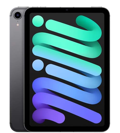 Apple iPad Mini 8,3"" 256 Go Gris sidéral 5G 6 ème génération 2021