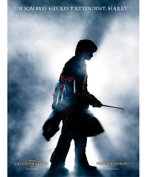 Harry Potter Et La Coupe De Feu AFFICHE CINEMA ORIGINALE État correct -  reconditionné disponible sur Fnac
