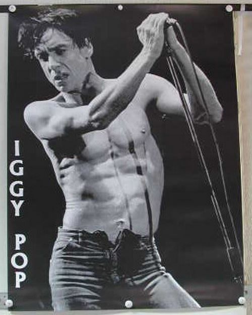 Acheter Pop Iggy - 60x80 cm - AFFICHE / POSTER État correct - 17,99 € Pop Iggy - 60x80 cm - AFFICHE / POSTER État correct - N/A reconditionné disponible sur Fnac