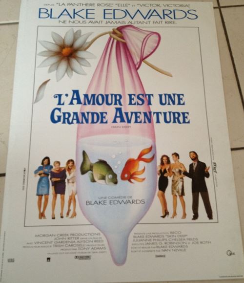 L'Amour Est Une Grande Aventure AFFICHE CINEMA ORIGINALE État correct - N/A reconditionné disponible sur Fnac