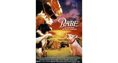 Acheter Babe AFFICHE CINEMA ORIGINALE État correct - 22,99 € Babe AFFICHE CINEMA ORIGINALE État correct - N/A reconditionné disponible sur Fnac