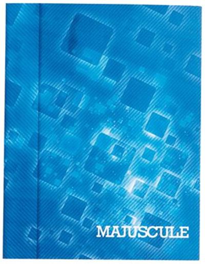 Acheter Majuscule - Cahier Piqures Grand Carreaux 17x22 48p 90g État correct - 19,65 € Majuscule - Cahier Piqures Grand Carreaux 17x22 48p 90g État correct - N/A reconditionné disponible sur Fnac