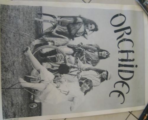 Acheter ORCHIDEE - 50x70 cm - AFFICHE / POSTER État correct - 17,99 € ORCHIDEE - 50x70 cm - AFFICHE / POSTER État correct - N/A reconditionné disponible sur Fnac