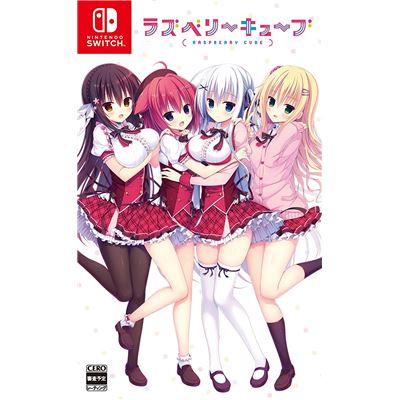 Raspberry Cube Pour Nintendo Switch État correct -  reconditionné disponible sur Fnac