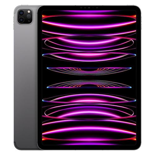Apple iPad Pro 11'' Puce Apple M2 1 To Gris sidéral Wifi 4e génération Fin 2022 Reconditionné État correct - Apple reconditionné disponible sur Fnac