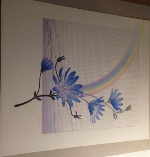 Rainbow 2 - Edition Esch - 50x60 cm - AFFICHE / POSTER État correct - N/A reconditionné disponible sur Fnac