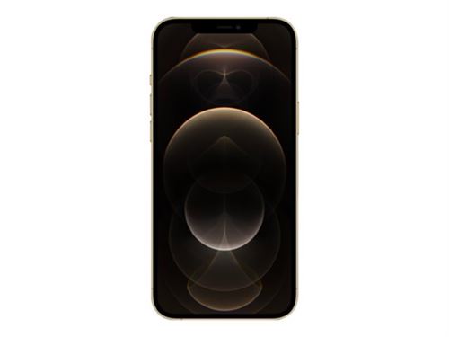 Acheter Apple iPhone 12 Pro Max - 5G smartphone - double SIM / Mémoire interne 256 Go - écran OEL - 6.7"" - 2778 x 1284 pixels - 3 x caméras arrière 12 MP, 12 MP, 12 MP - front camera 12 MP - or État correct - 439,00 € Apple iPhone 12 Pro Max - 5G smartphone - double SIM / Mémoire interne 256 Go - écran OEL - 6.7"" - 2778 x 1284 pixels - 3 x caméras arrière 12 MP, 12 MP, 12 MP - front camera 12 MP - or État correct - N/A reconditionné disponible sur Fnac