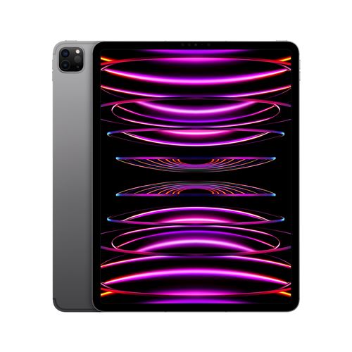 Apple iPad Pro 12,9"" Puce Apple M2 256Go Gris Sidéral Wifi Cellular Fin 2022