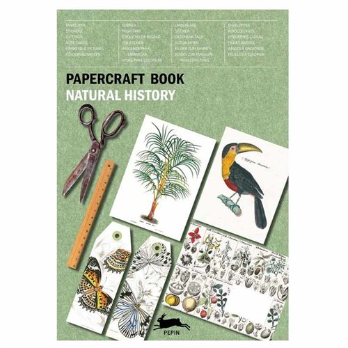 Acheter Carnet de scrapbooking - Nature, insectes, plantes - Cartes, enveloppes, autocollants - Pepin État correct - 35,12 € Carnet de scrapbooking - Nature, insectes, plantes - Cartes, enveloppes, autocollants - Pepin État correct - N/A reconditionné disponible sur Fnac