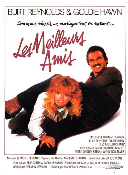 Les meilleurs amis - 40x60 cm - AFFICHE / POSTER État correct - N/A reconditionné disponible sur Fnac