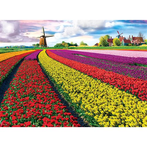 Acheter Puzzle 1000 pièces : Champ de tulipes Eurographics État correct - 21,55 € Puzzle 1000 pièces : Champ de tulipes Eurographics État correct - N/A reconditionné disponible sur Fnac