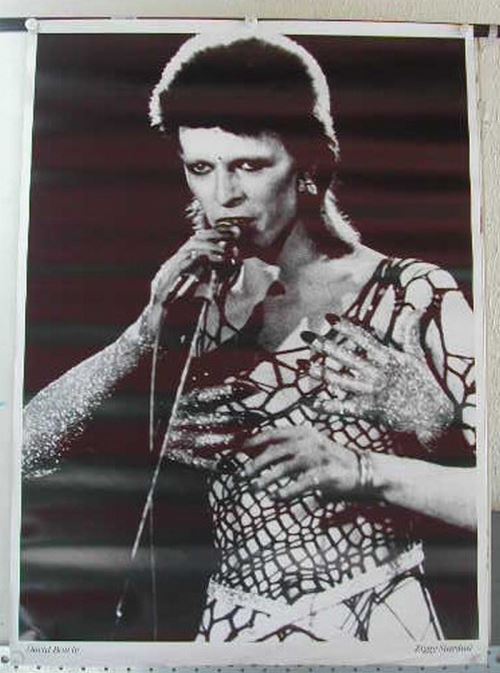 Bowie David - 64x90 cm - AFFICHE / POSTER État correct - N/A reconditionné disponible sur Fnac