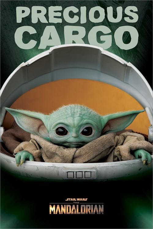 Acheter Star Wars Maxi Poster 61 x 91,5 cm The Mandalorian Precious Cargo État correct - 12,65 € Star Wars Maxi Poster 61 x 91,5 cm The Mandalorian Precious Cargo État correct - Star Wars reconditionné disponible sur Fnac