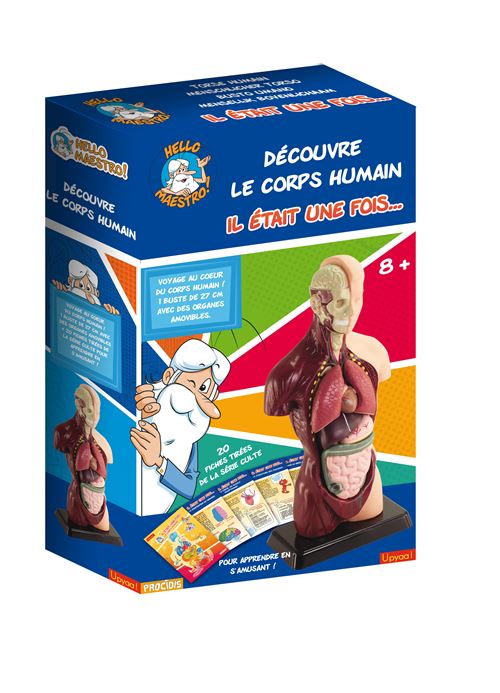 Acheter Jeu scientifique Hello Maestro Découvre le corps humain Il était une fois État correct - 34,15 € Jeu scientifique Hello Maestro Découvre le corps humain Il était une fois État correct - N/A reconditionné disponible sur Fnac