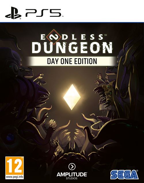 Endless Dungeon Day One Edition PS5 État correct - Koch Media reconditionné disponible sur Fnac