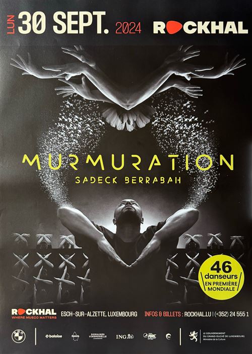 Affiche - Murmuration - Sadeck Berrabah - Luxembourg 2024 - 60x86cm État correct - N/A reconditionné disponible sur Fnac
