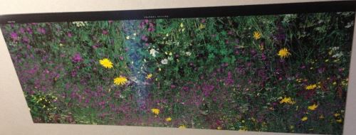 Patrice LABARBE - 26x70 cm - AFFICHE / POSTER État correct - N/A reconditionné disponible sur Fnac