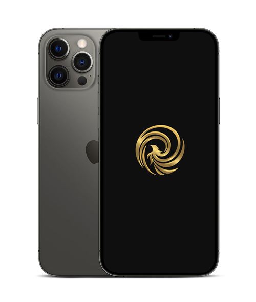 Acheter Apple iPhone 12 Pro Max 6,7"" 256 Go 5G Double SIM Graphite Reconditionné Grade A Reborn État correct - 504,99 € Apple iPhone 12 Pro Max 6,7"" 256 Go 5G Double SIM Graphite Reconditionné Grade A Reborn État correct - N/A reconditionné disponible sur Fnac
