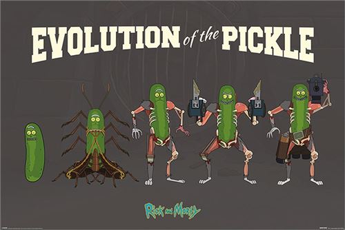 Rick and Morty Maxi Poster 61 x 91,5 cm Evolution Of The Pickle État correct - N/A reconditionné disponible sur Fnac